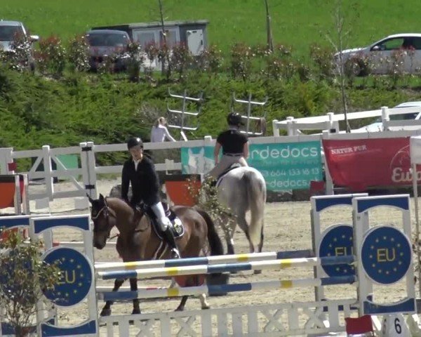 Reitturnier St. Margarethen 2024