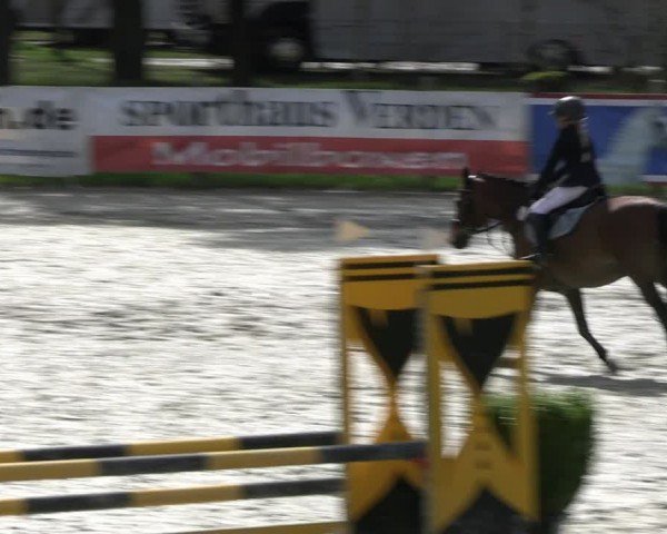 Reitturnier Westergellersen 2024