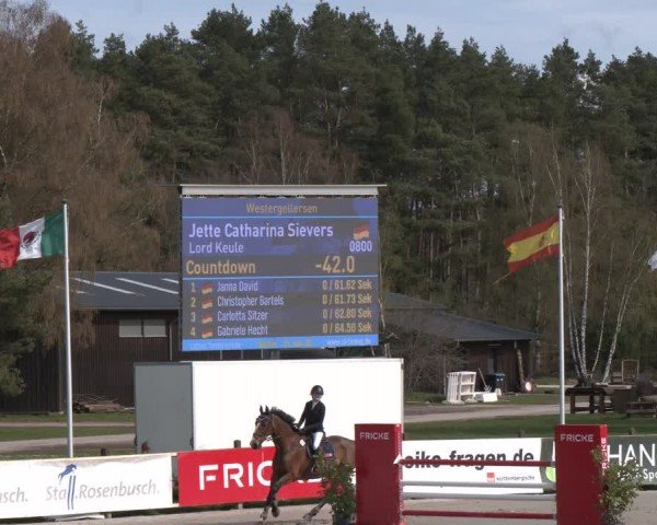 Reitturnier Westergellersen 2024