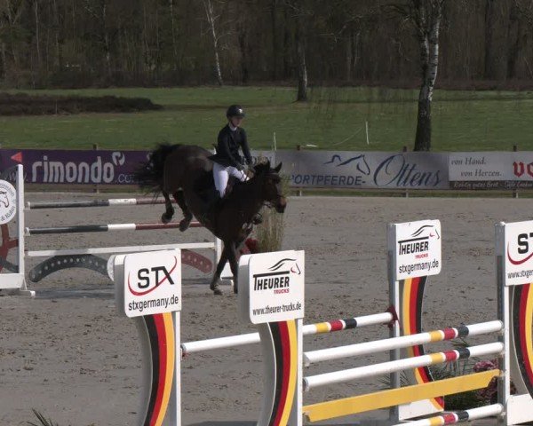 Reitturnier Westergellersen 2024