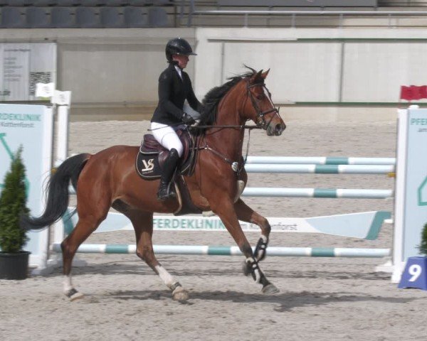 Reitturnier Aachen 2024
