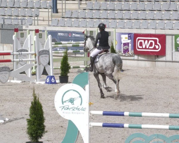 Reitturnier Aachen 2024