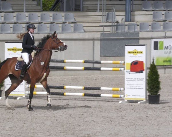 Reitturnier Aachen 2024