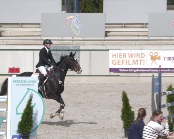 Reitturnier Aachen 2024