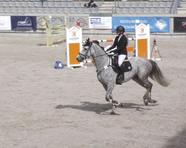 Reitturnier Aachen 2024