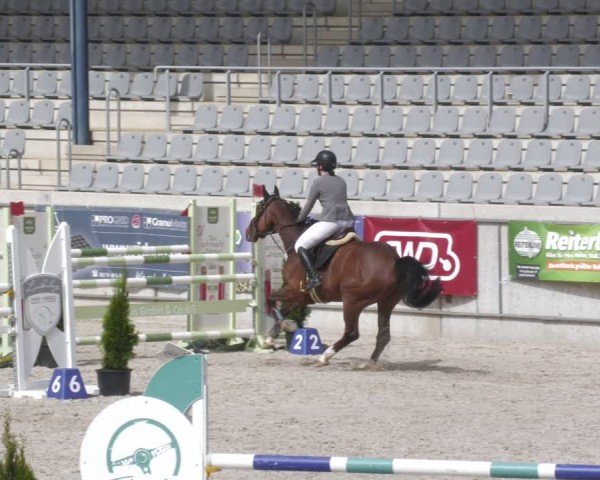 Reitturnier Aachen 2024