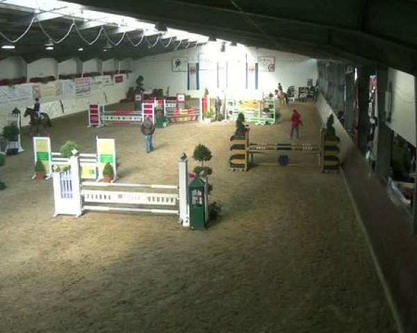 Legdener Ponymeeting 2011