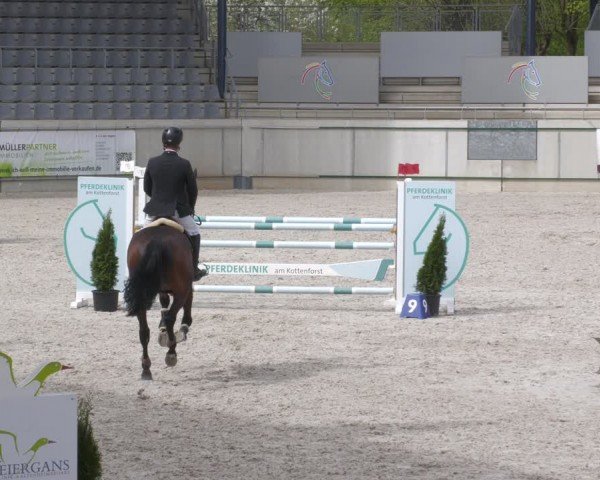 Reitturnier Aachen 2024