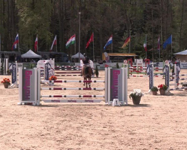 Reitturnier Ranshofen - Braunau am Inn 2024