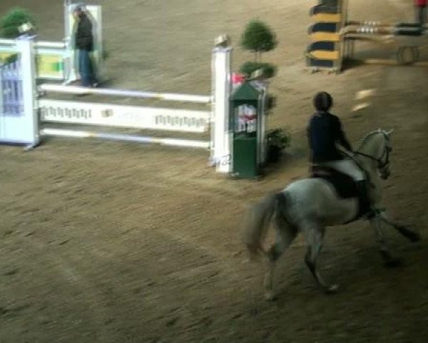 Legdener Ponymeeting 2011