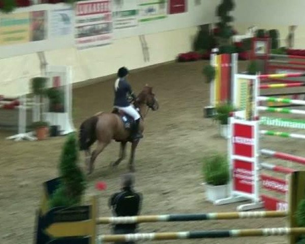 Legdener Ponymeeting 2011