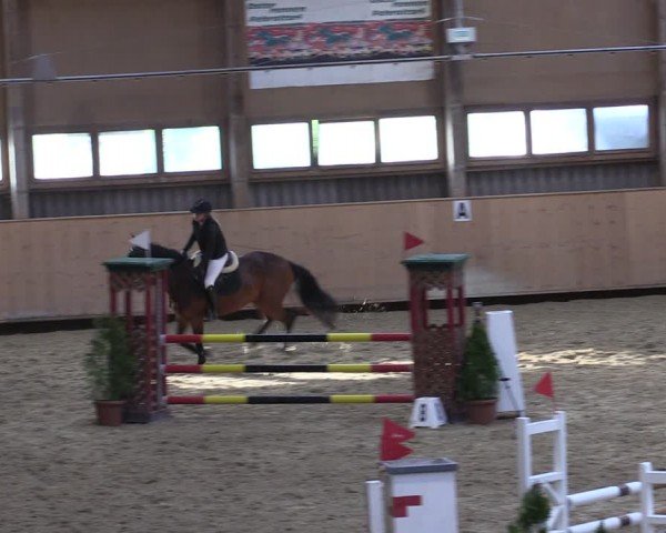 Reitturnier Fehraltorf 2024