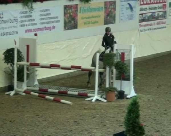 Legdener Ponymeeting 2011