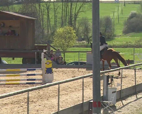 Reitturnier Altentrüdingen/Mfr. 2024