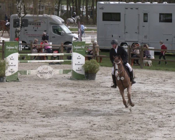Reitturnier Westergellersen 2024