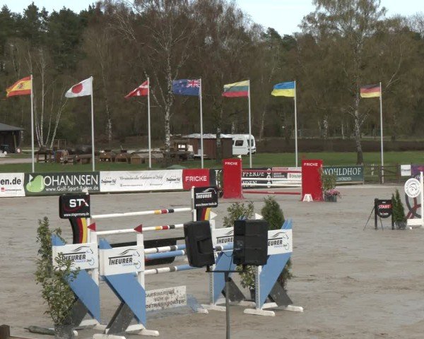Reitturnier Westergellersen 2024