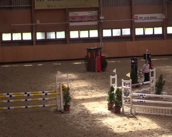 Reitturnier Fehraltorf 2024