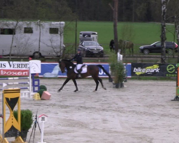Reitturnier Westergellersen 2024
