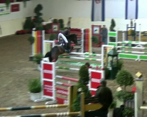Legdener Ponymeeting 2011