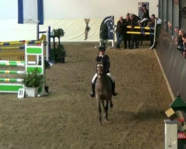 Legdener Ponymeeting 2011