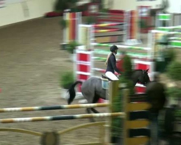 Legdener Ponymeeting 2011