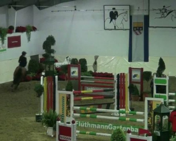 Legdener Ponymeeting 2011