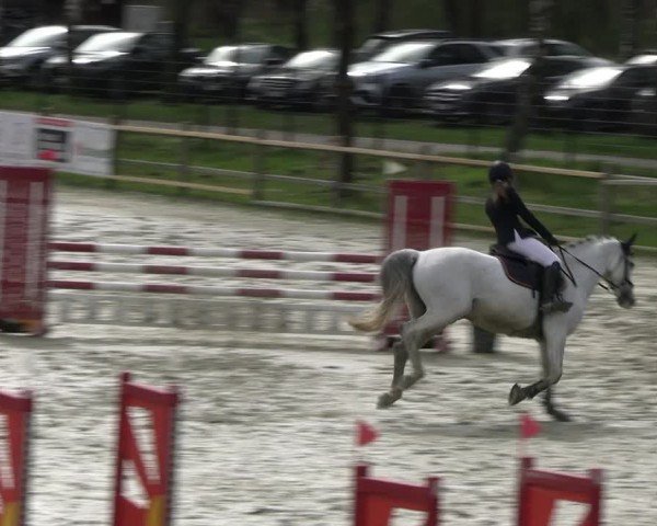 Reitturnier Westergellersen 2024