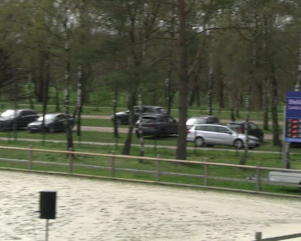Jezdecký turnaj Westergellersen 2024