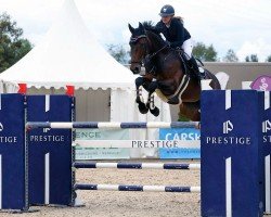 jumper Fortaleza 7 (KWPN (Royal Dutch Sporthorse), 2010, from Canoso)