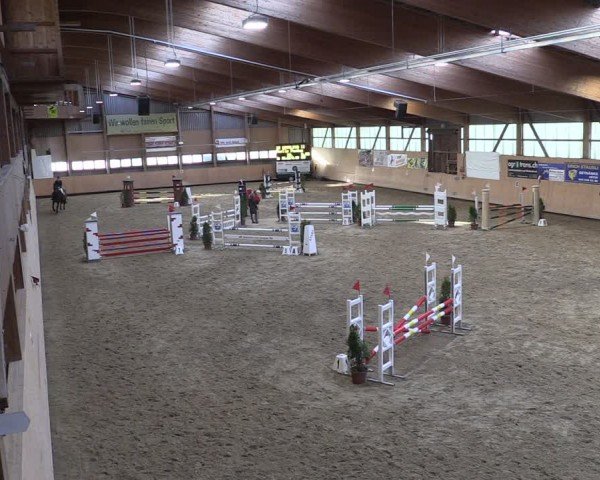 Reitturnier Fehraltorf 2024
