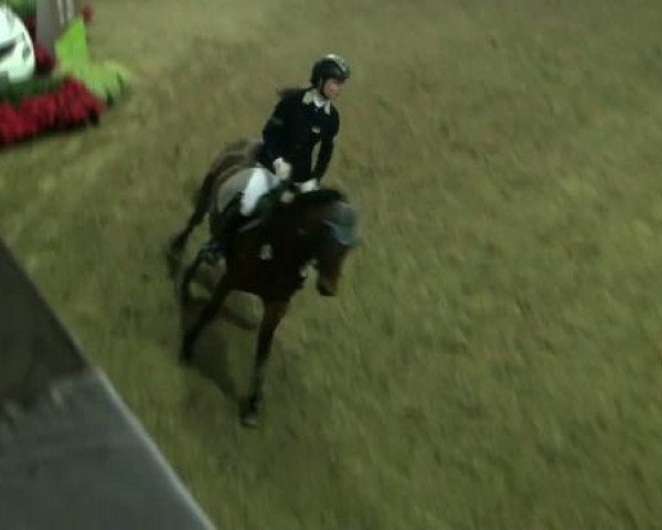 Legdener Ponymeeting 2011