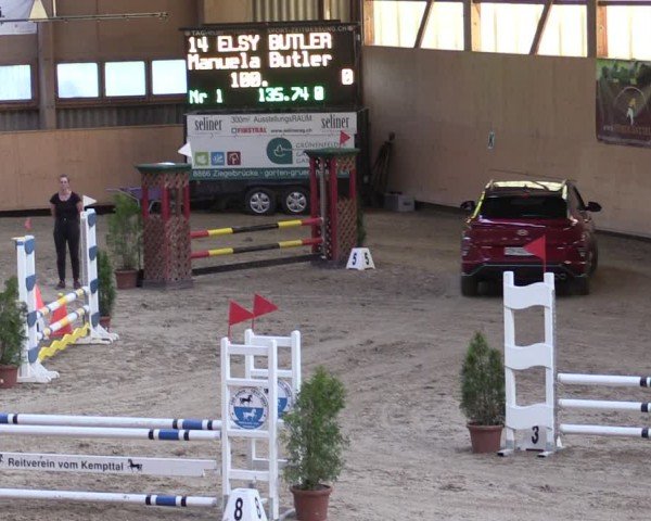 Reitturnier Fehraltorf 2024