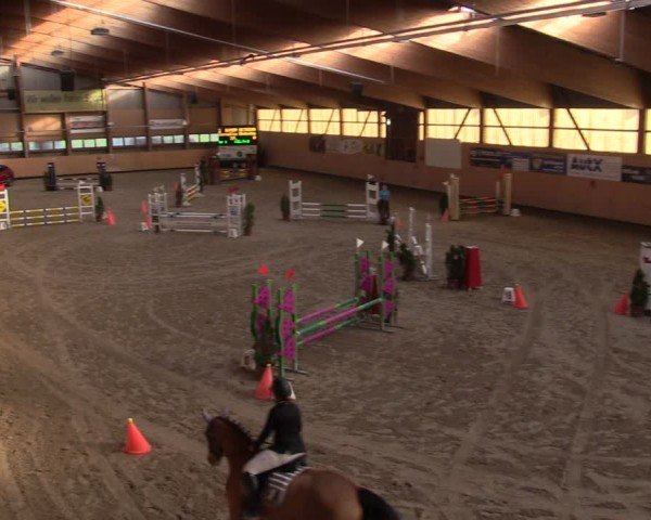 Reitturnier Fehraltorf 2024
