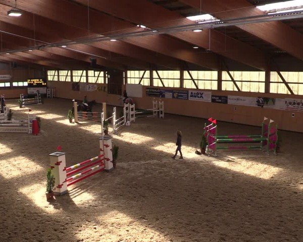 Reitturnier Fehraltorf 2024