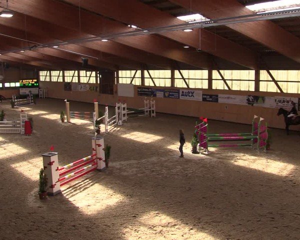 Reitturnier Fehraltorf 2024