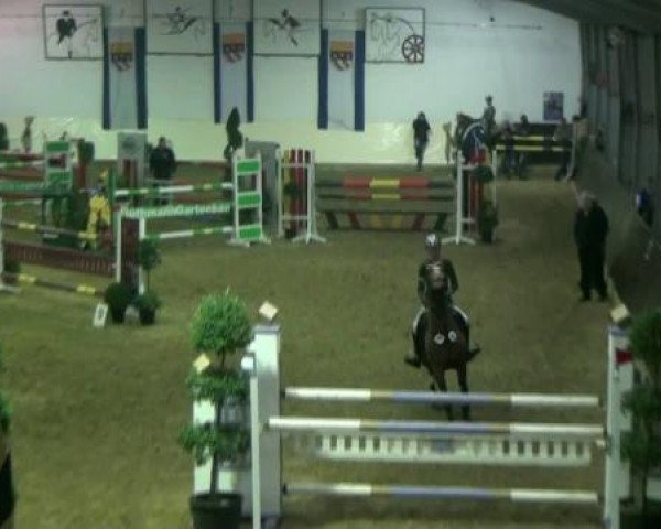 Reitturnier Legden 2011