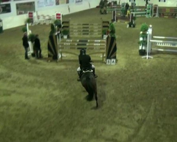 Legdener Ponymeeting 2011