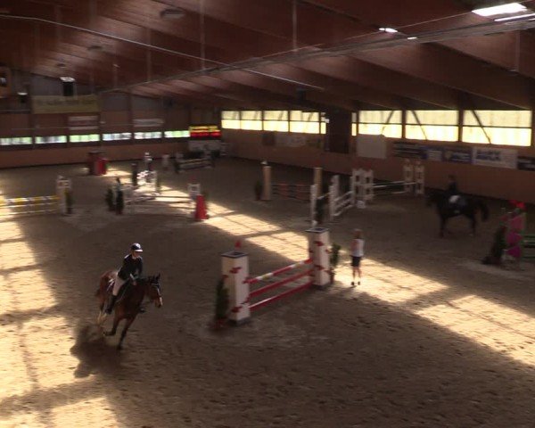 Reitturnier Fehraltorf 2024