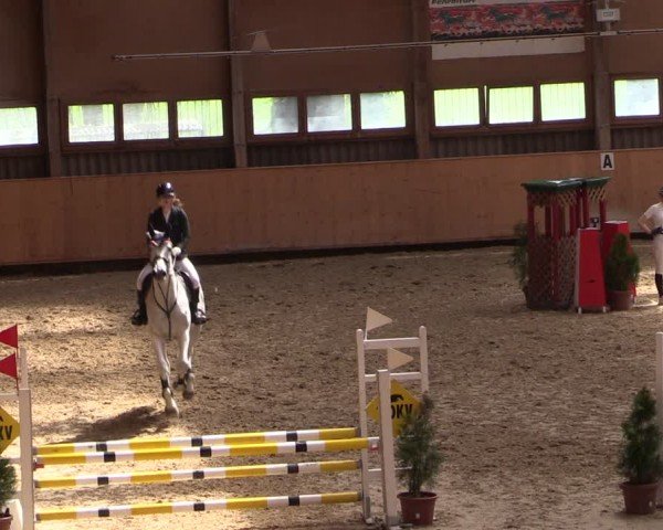 Reitturnier Fehraltorf 2024