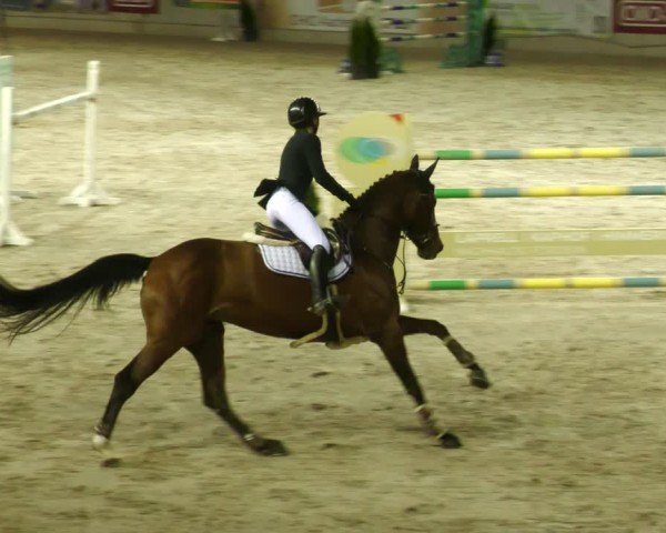 Reitturnier Aachen 2024