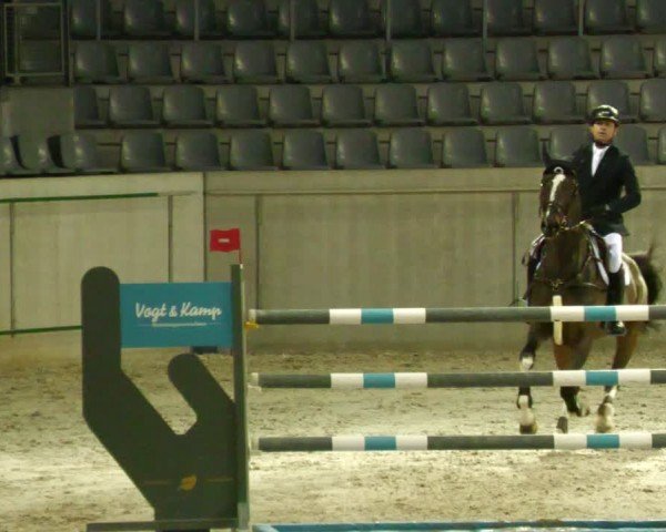 Reitturnier Aachen 2024