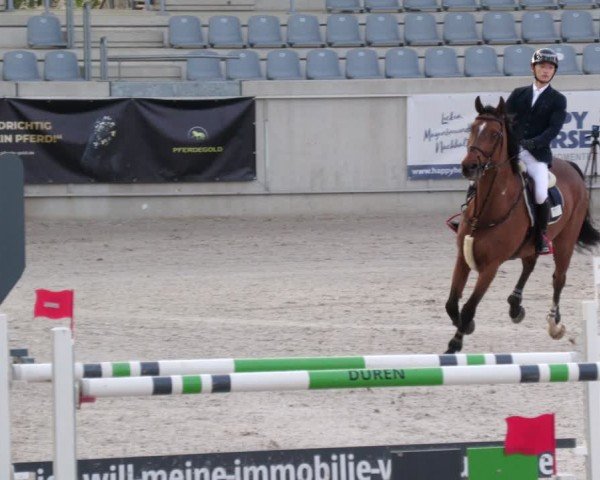 Reitturnier Aachen 2024