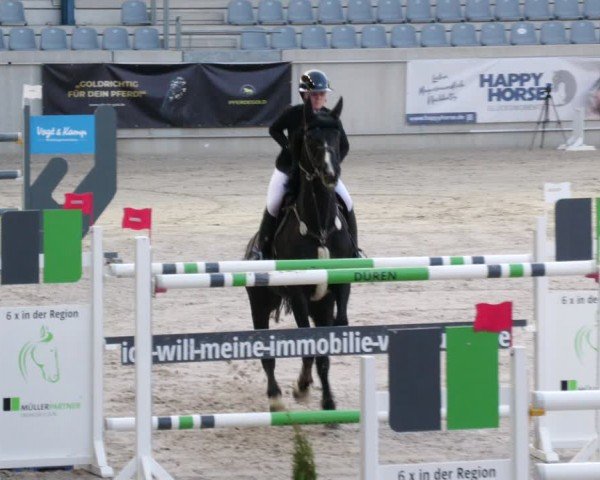 Reitturnier Aachen 2024