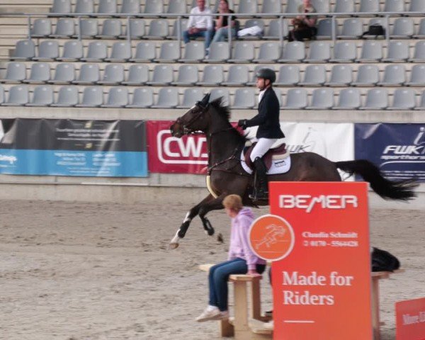 Reitturnier Aachen 2024