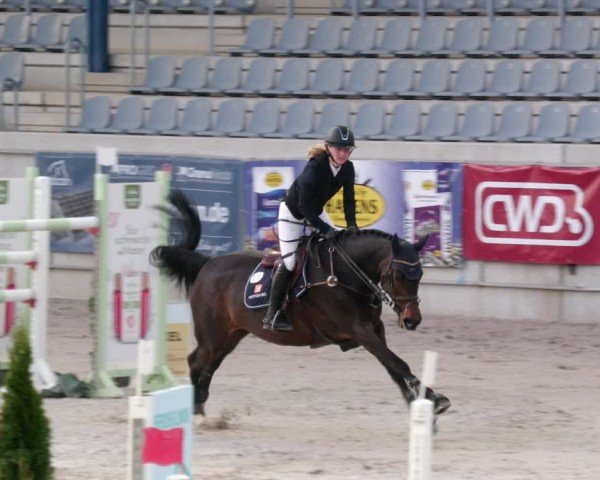 Reitturnier Aachen 2024