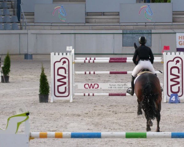 Reitturnier Aachen 2024