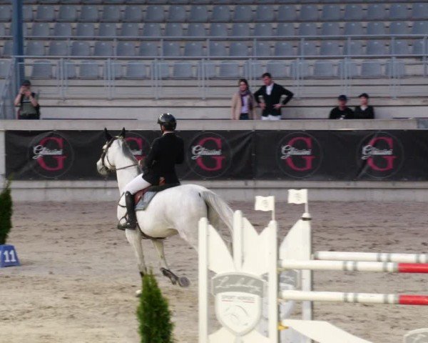 Reitturnier Aachen 2024