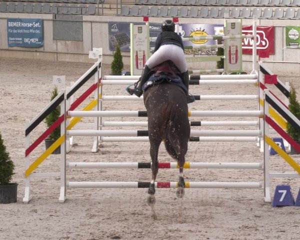 Reitturnier Aachen 2024