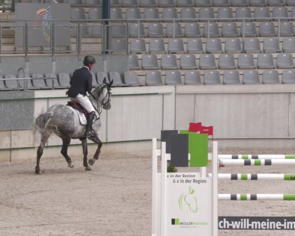 Reitturnier Aachen 2024