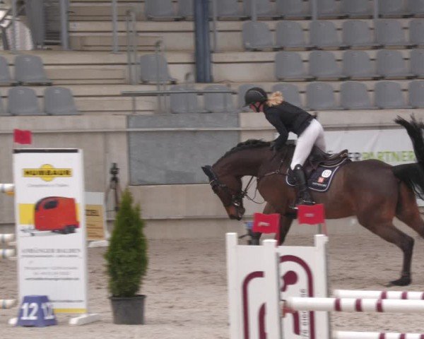Reitturnier Aachen 2024
